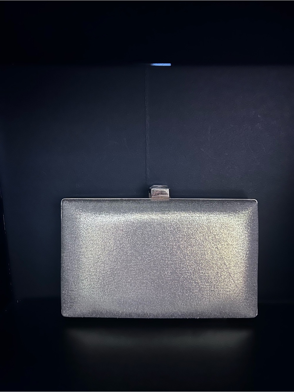 Metallic Silver Evening Clutch